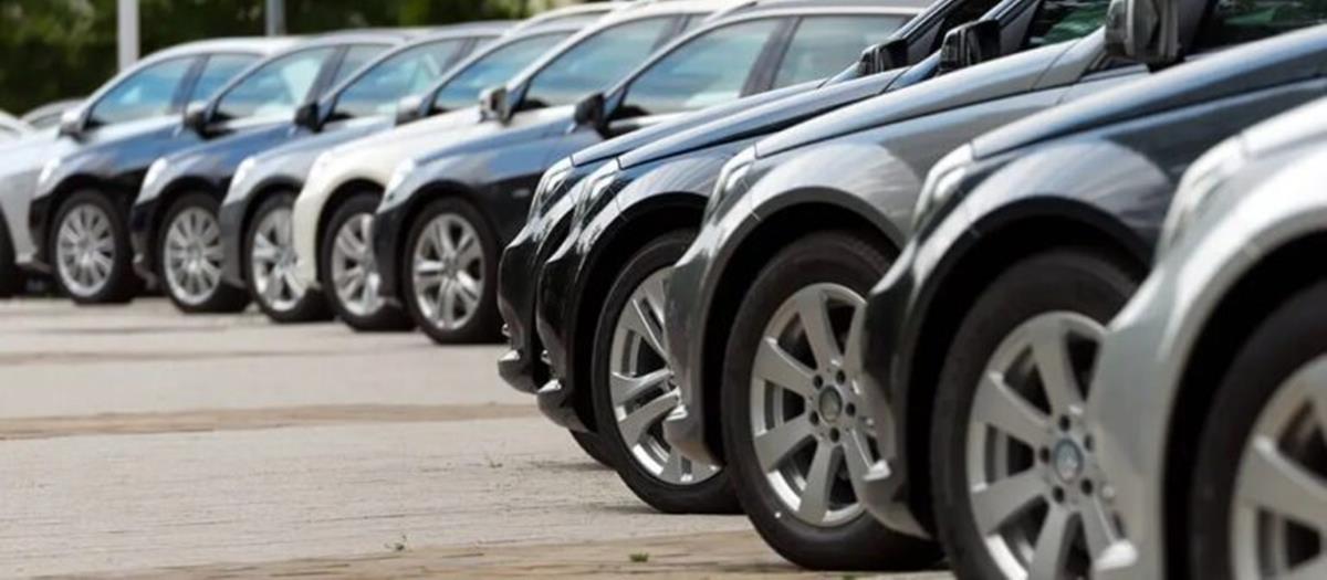 5274254186464071 cats