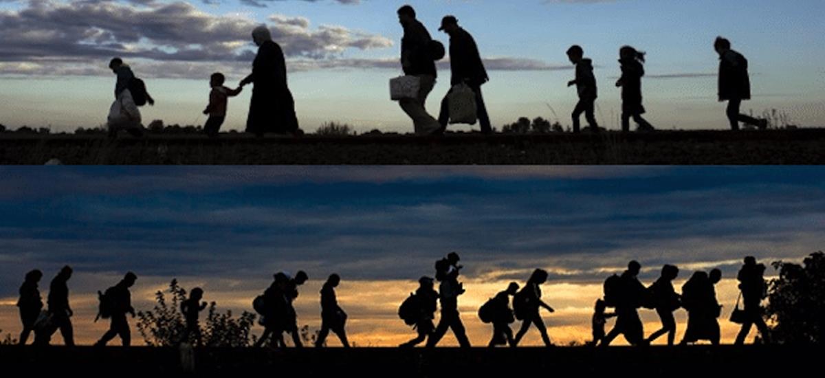 5274331864861933 cats