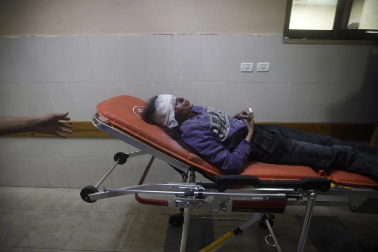 5274337761936528 image