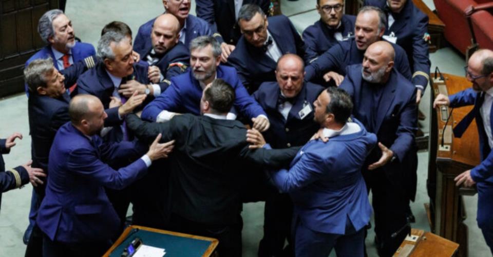 5274503649594886 image