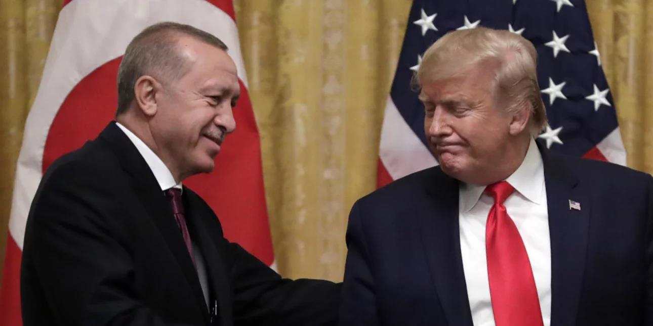 5274543666247387 image