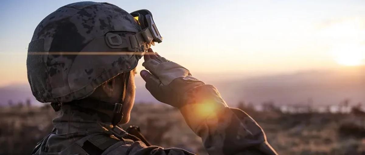 5275080913211513 cats