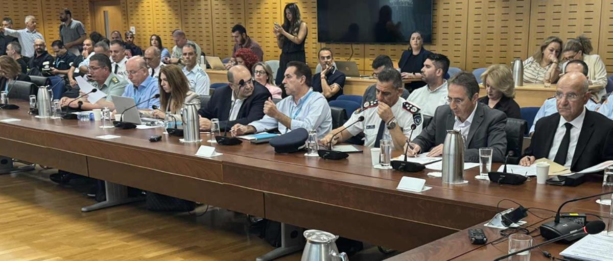 5275171950326356 cats