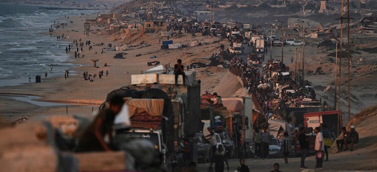 5275177440970062 cats