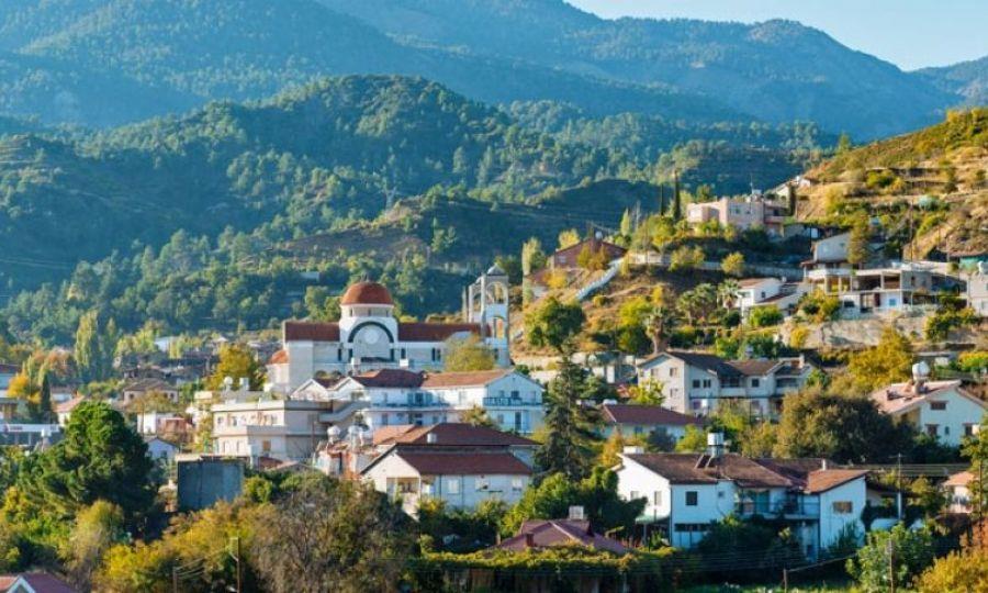 5275279536435886 oreina