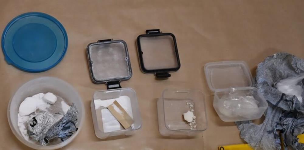 5277578861798816 cats