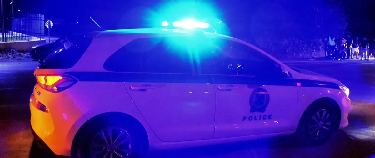 5277612217147441 cats