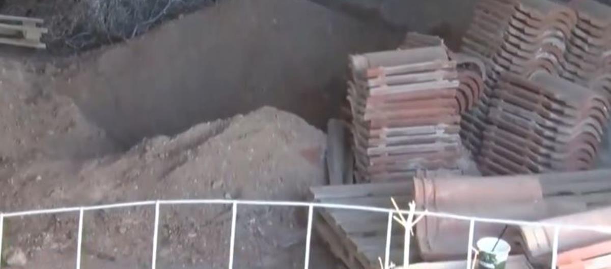 5277629747698027 cats