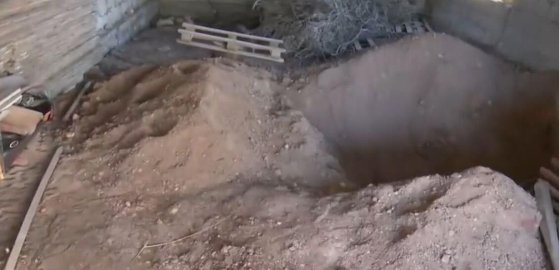 5277724295835801 cats