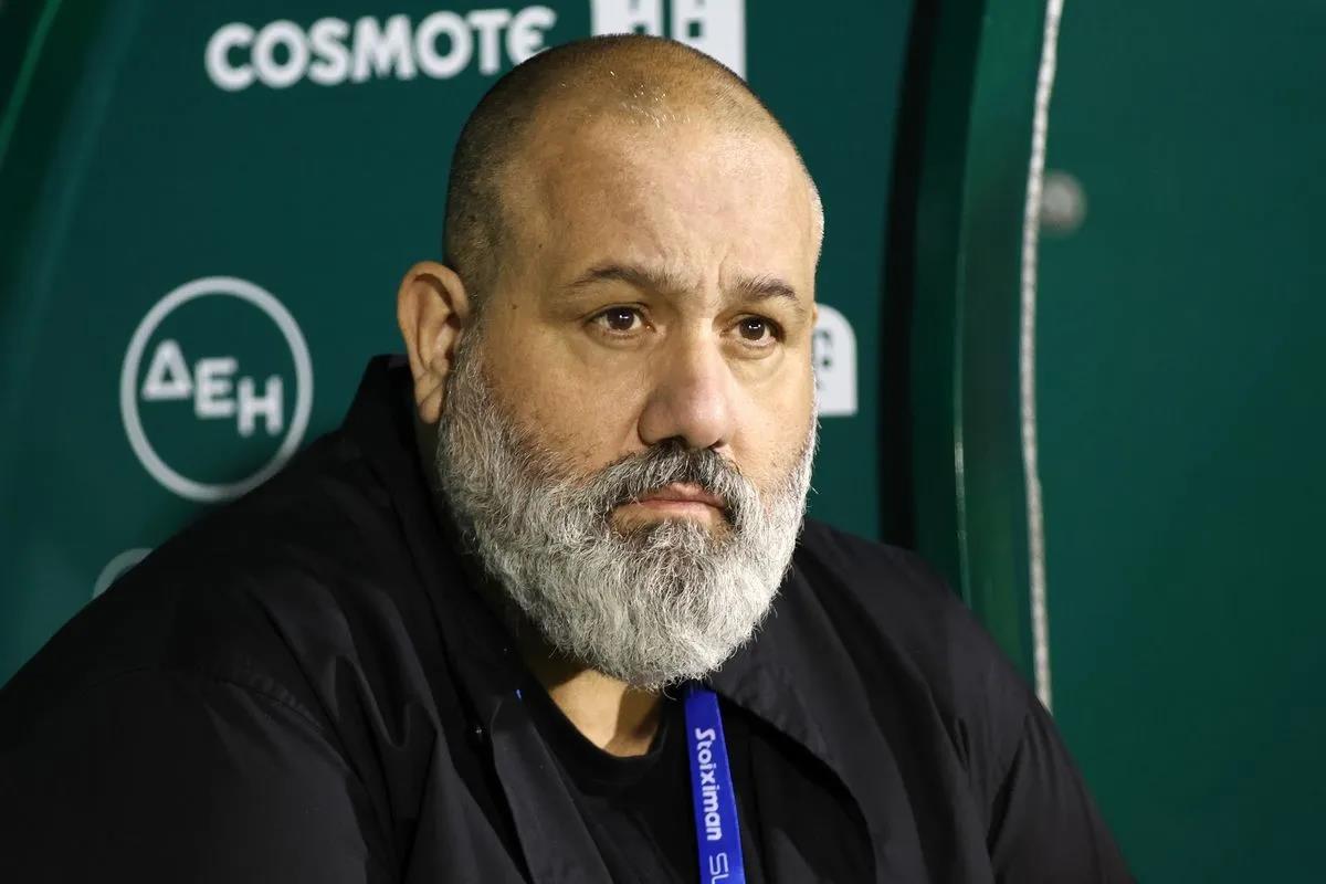 5277755220571742 image