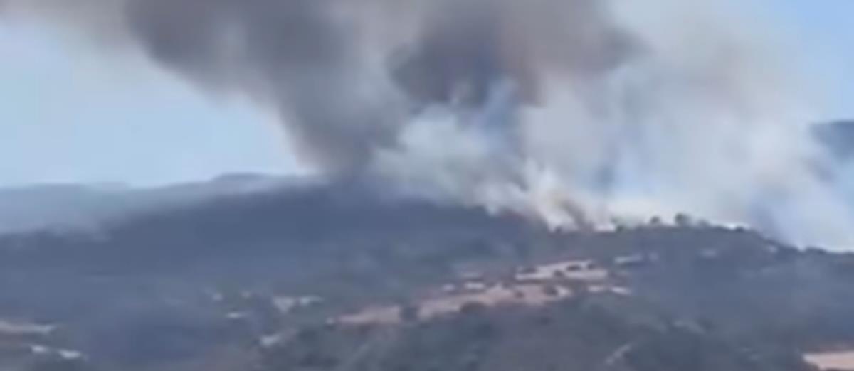 5277760474816233 cats