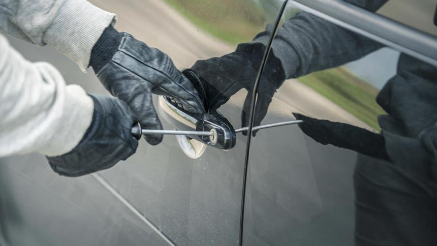 5278009411054777 image