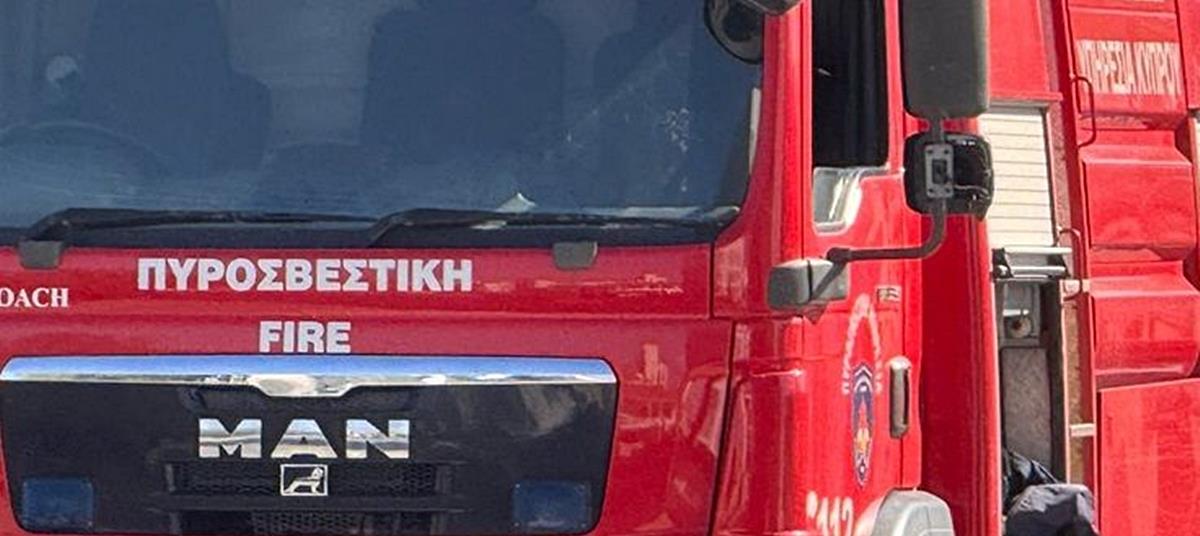 5278453335287940 cats