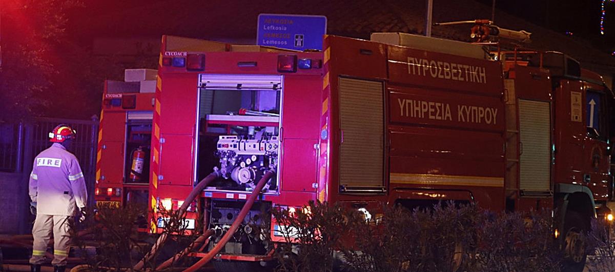 5278461093086217 cats