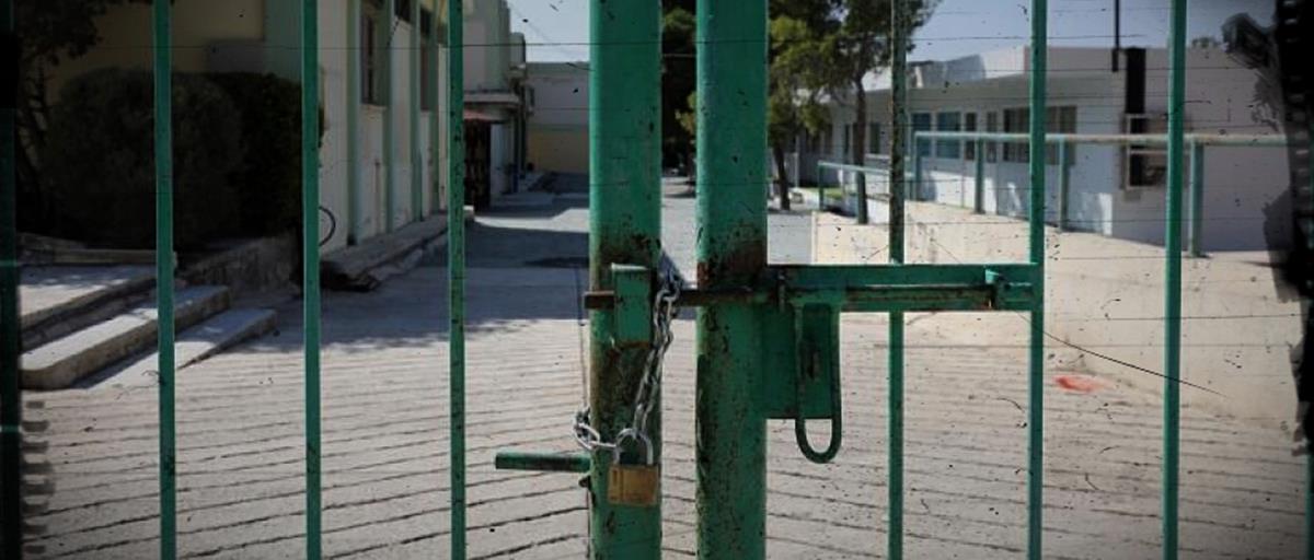 5278635196244988 cats