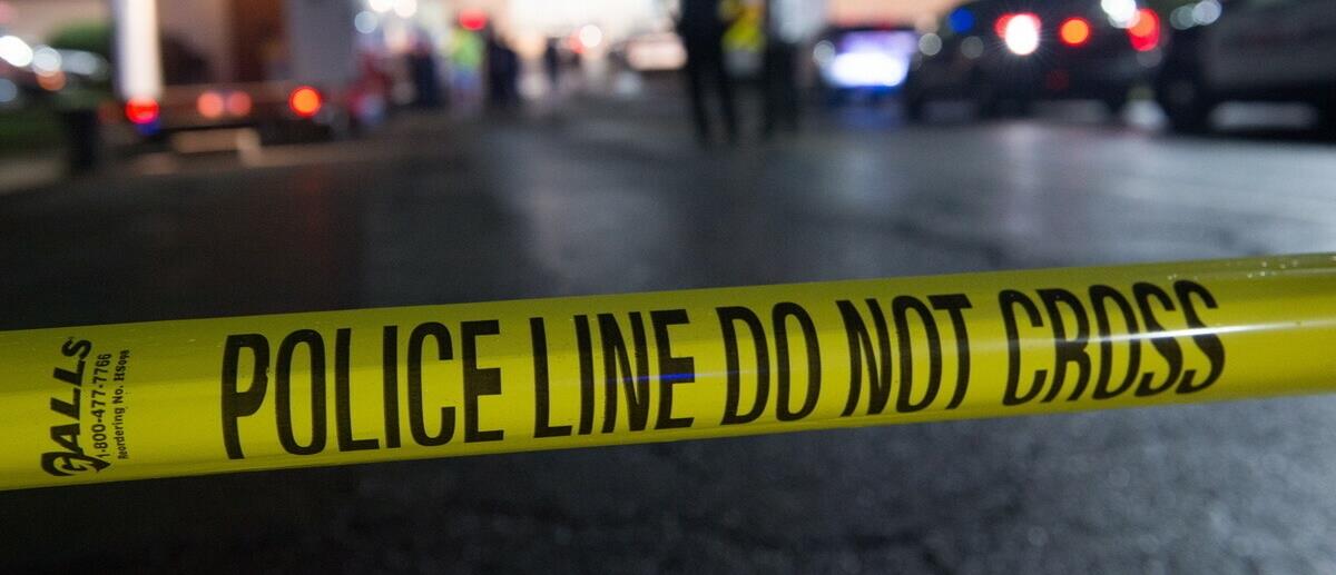 5278670907276831 cats