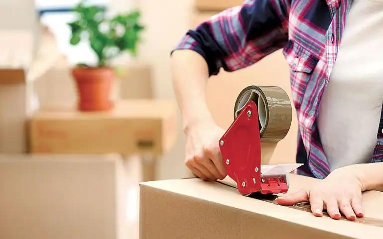 5278837759966453 image