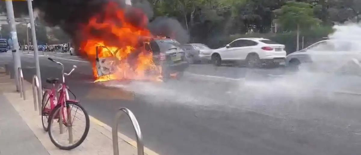 5280424344051555 cats