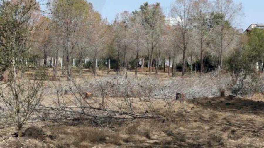 5280432723748195 cache 500x500 182069 2163182 24022020011329