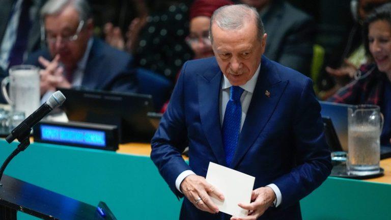 5281254283985754 image