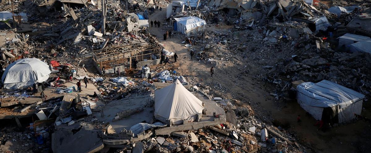 5282281186129764 cats