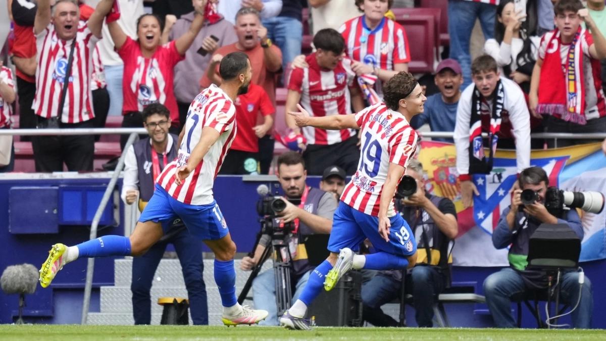 5282332407395679 image