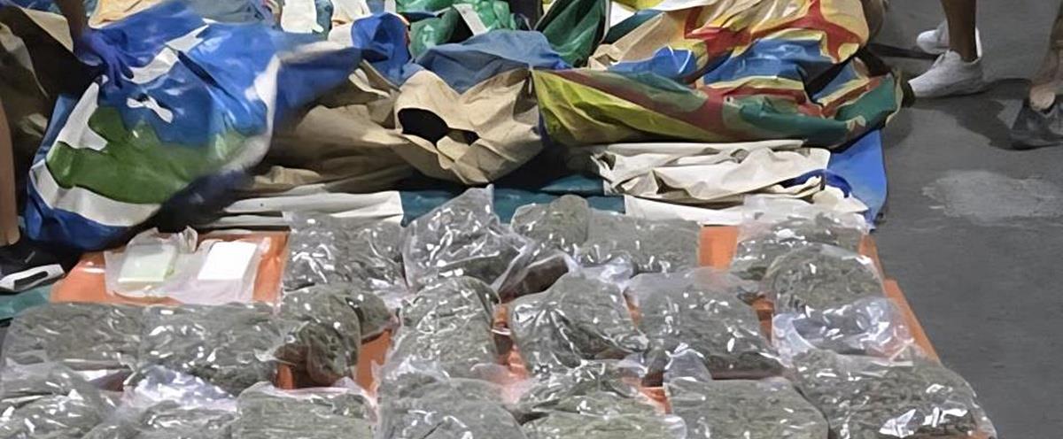 5282385525977731 cats