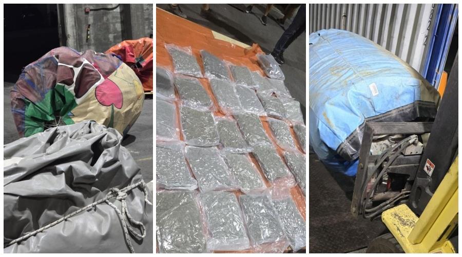 5282747216675615 collage