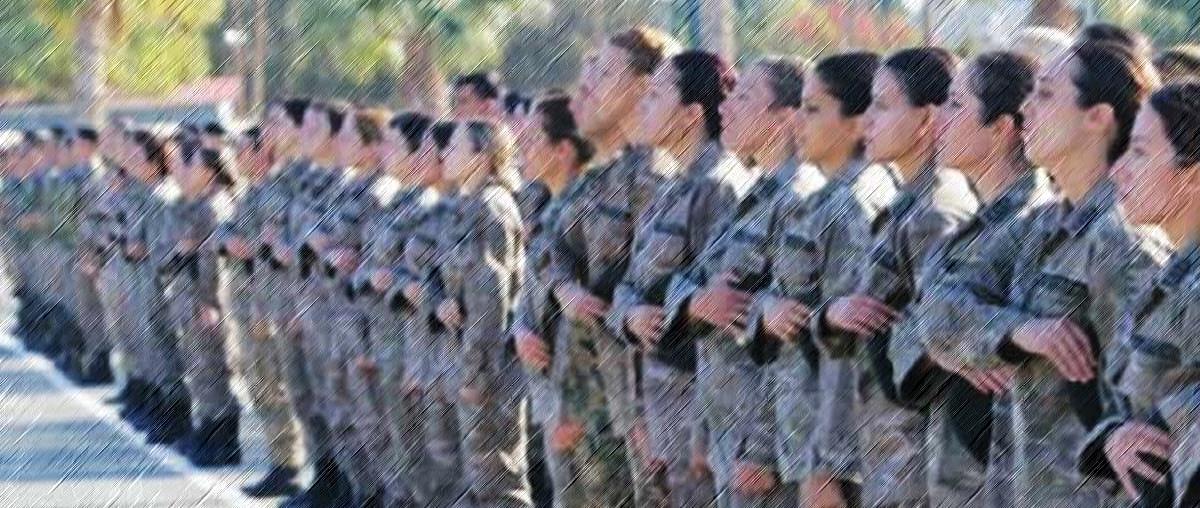 5283742070339363 cats