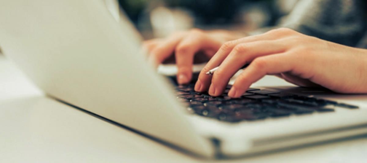 5283764945317027 cats