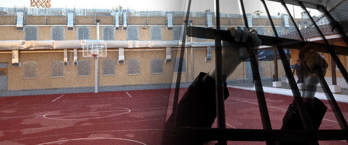 5286590681199992 image