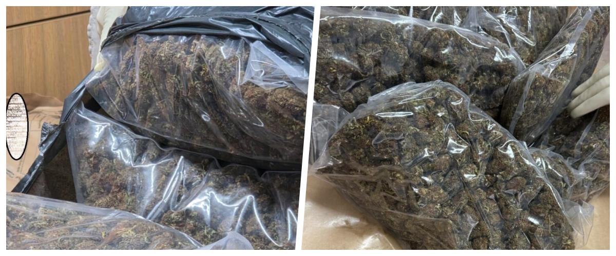 5287391524027729 collage