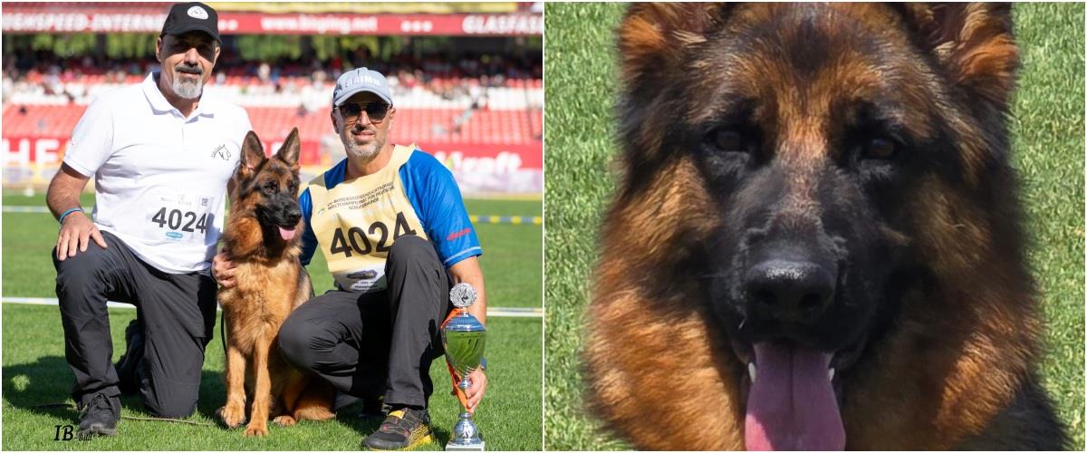 5280366317723672 molly