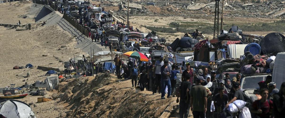 5290532903493511 cats