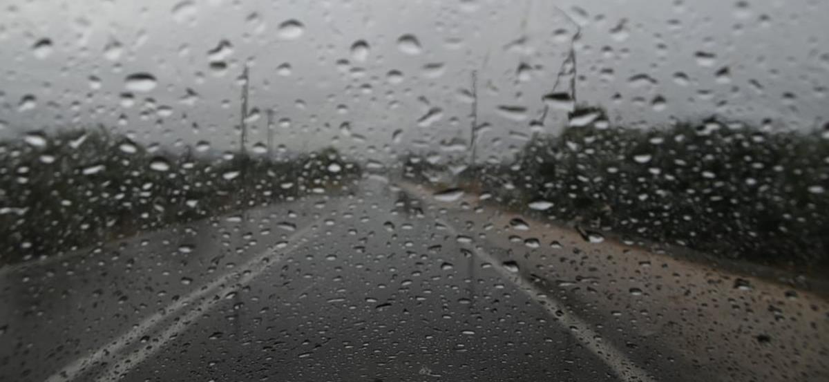 5290536193772234 cats