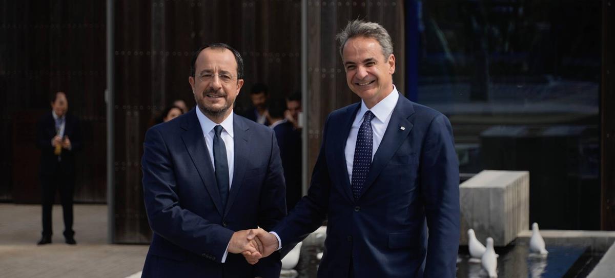 5290544600217379 cats