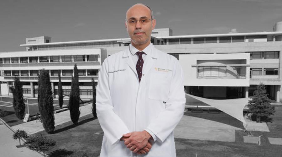 5290744716333836 image