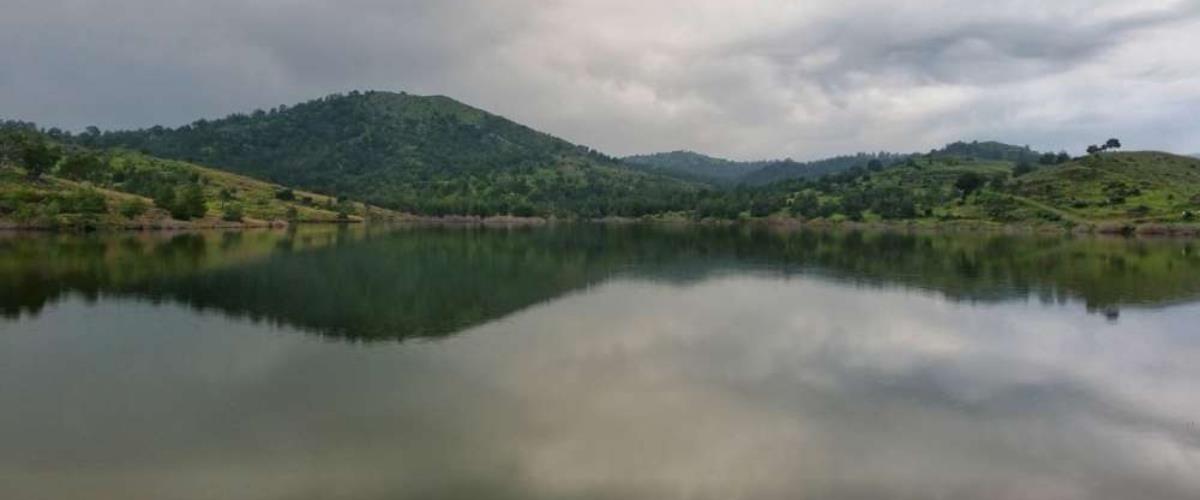 5290841929444228 vyzakia ID 658349