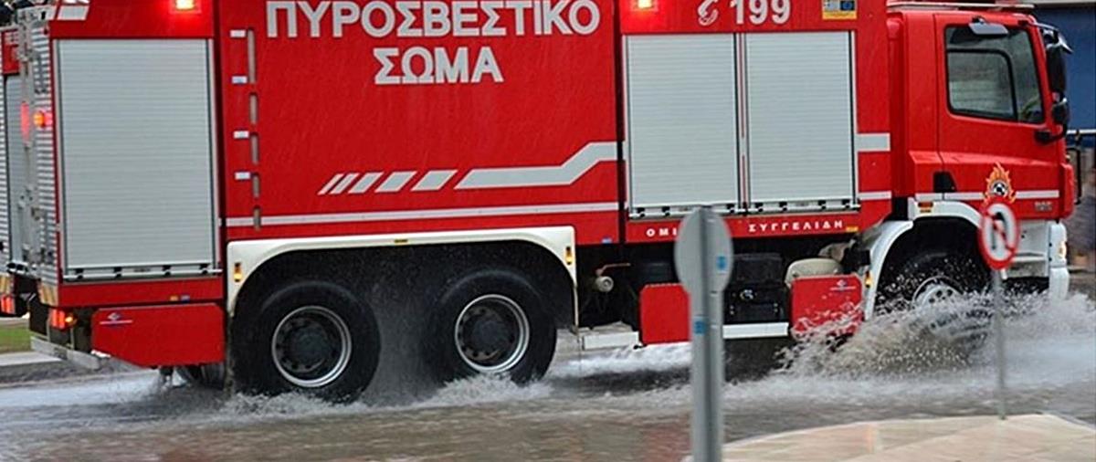 5291417415595428 cats