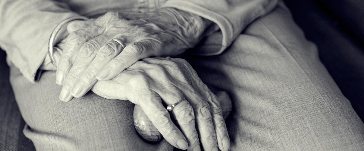 5291741252877645 hand-3666974 1280-2