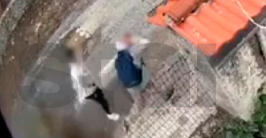 5293219628094987 tripoli-mak2