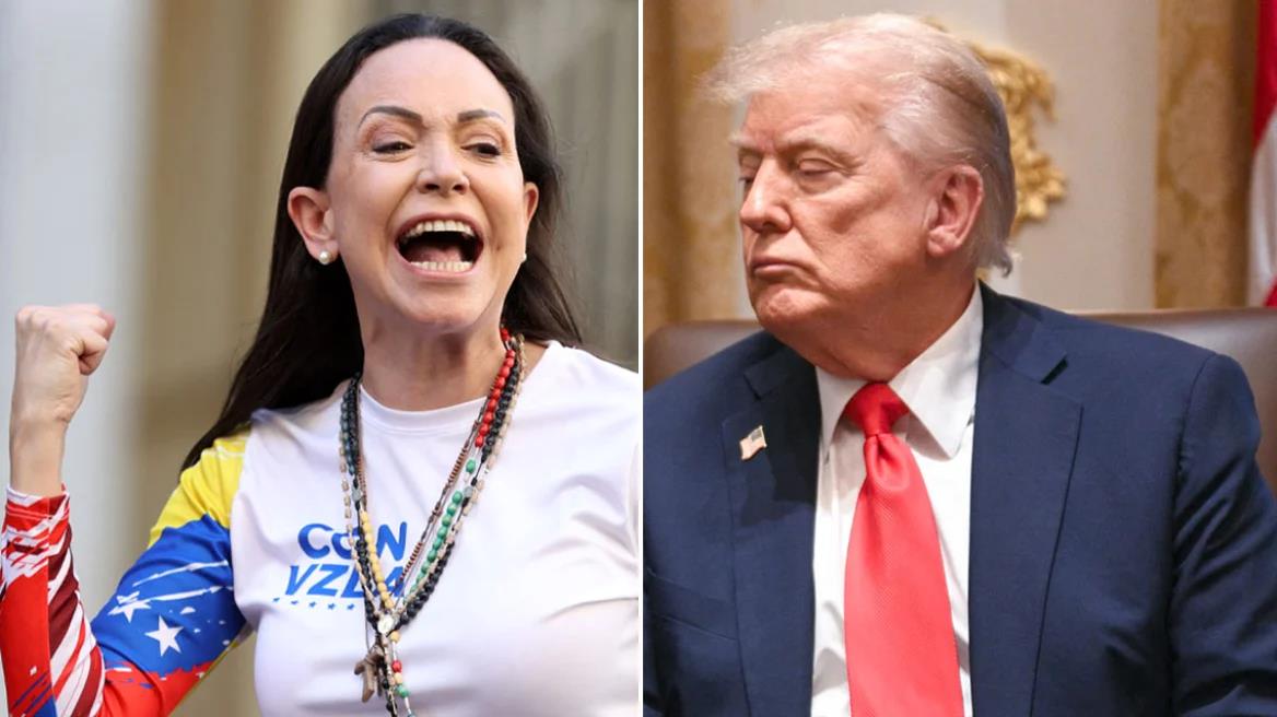 5293531298299093 image