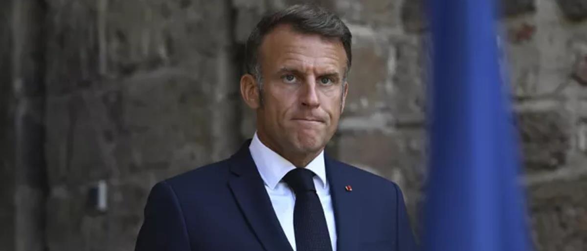 5293546961071329 cats