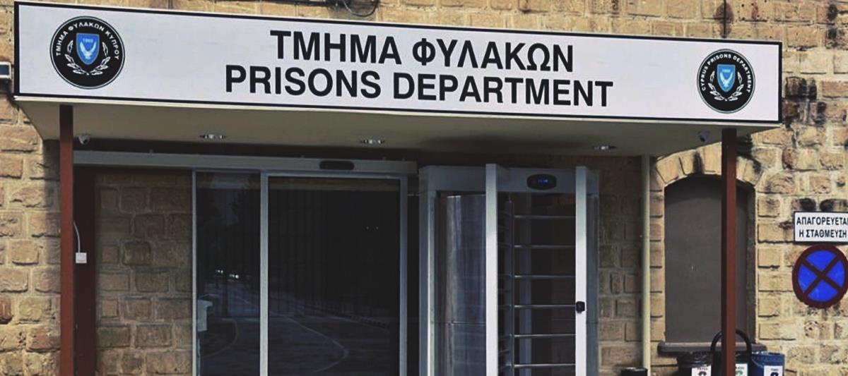 5293598793978702 cats