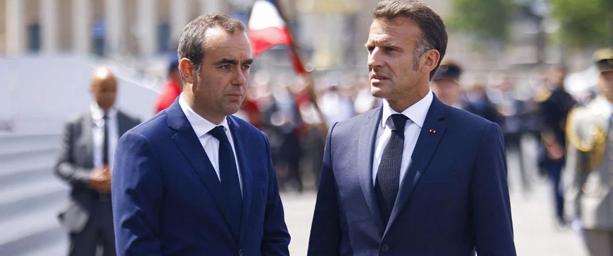 5293982589430929 cats