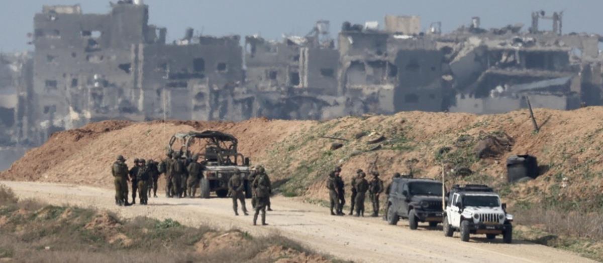 5294150392335305 cats