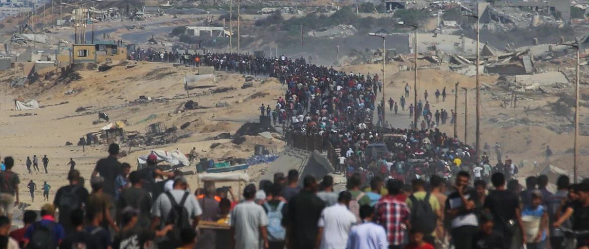 5294270294869017 cats