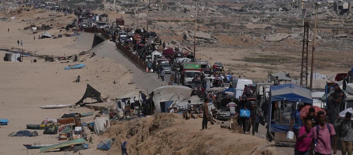 5294392807660031 cats