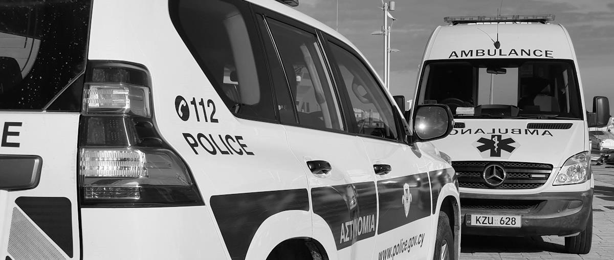 5294339408736035 image