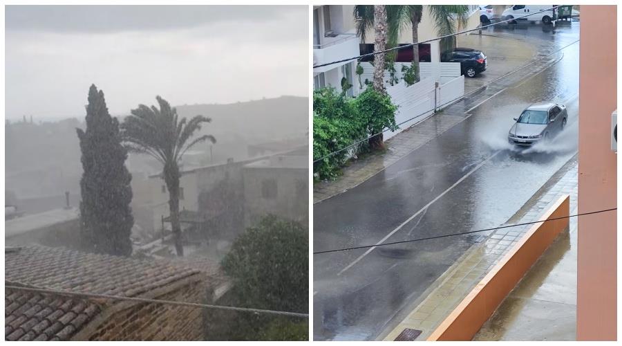 5295184422426756 collage